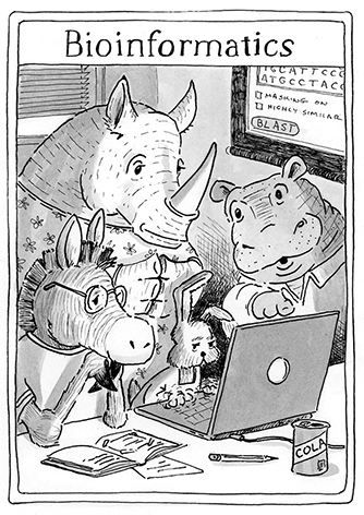 Black and white drawing of a hippo, a rhinoceros, a zebra and a rabbit gathered around a computer screen, studying bioinformatics. 